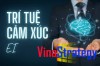 Trí tuệ cảm xúc và ứng dụng kết hợp AI