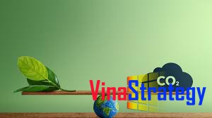 Trung hòa carbon và xu thế thị trường