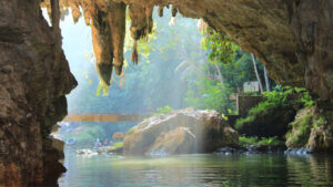 Chiến lược kinh doanh của Oxalis Adventure