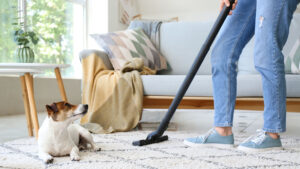 Thất Bại Của Hoover - Thảm Họa Marketing