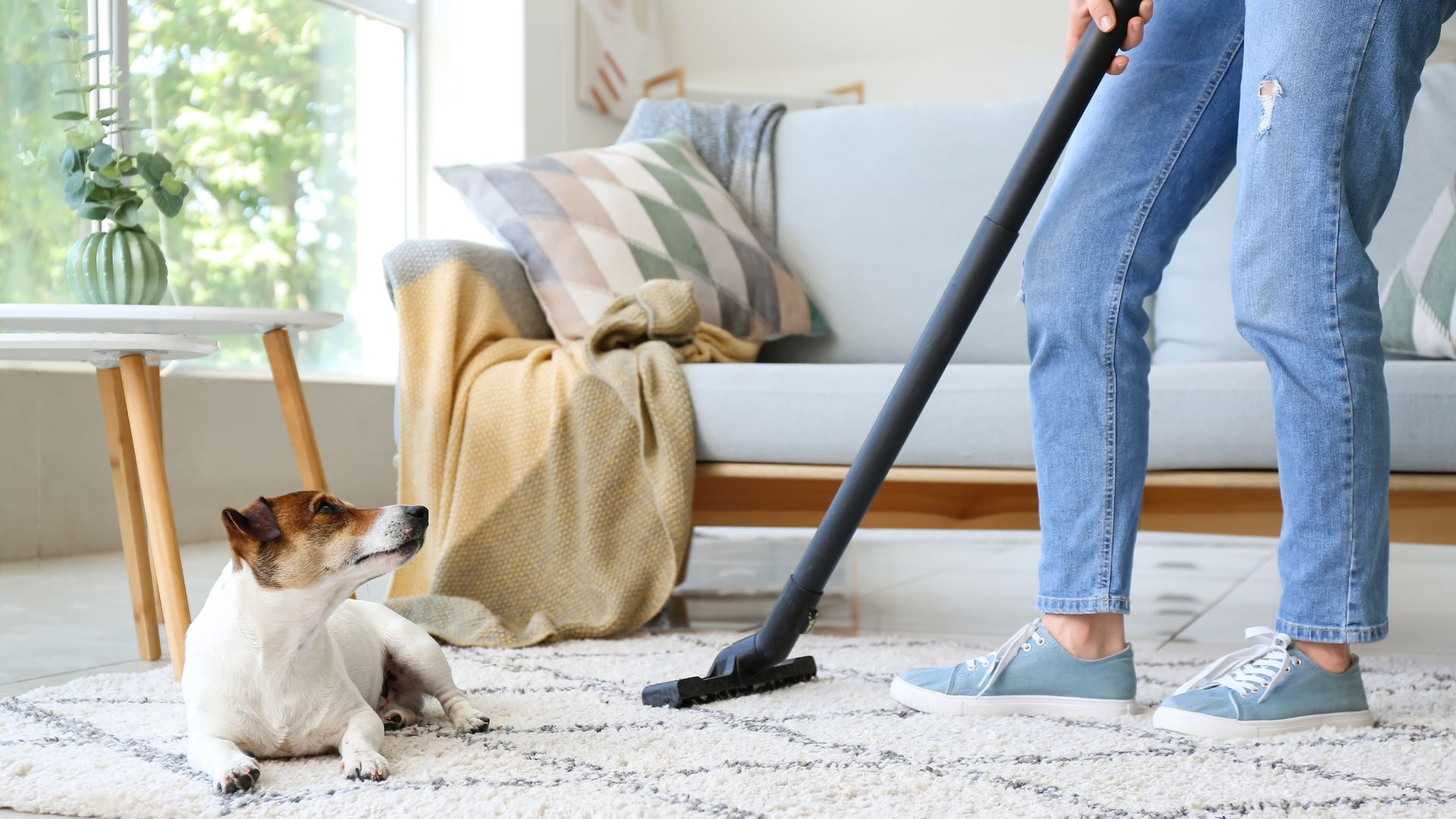 Thất Bại Của Hoover - Thảm Họa Marketing