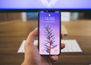 Insight Ngành Gia Dụng Và Công Nghệ Tết 2026