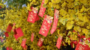 Bức tranh kinh tế từ báo cáo Tet 2025 của Decision Lab