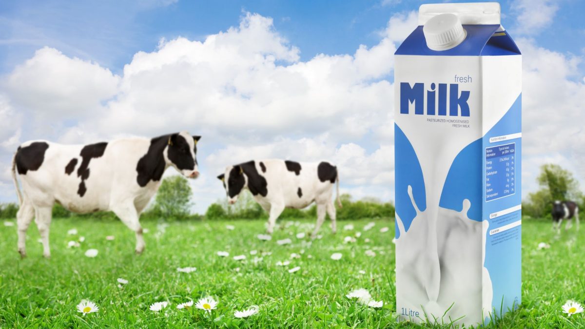 Bảng xếp hạng các loại sữa được ưa chuộng nhất 2025