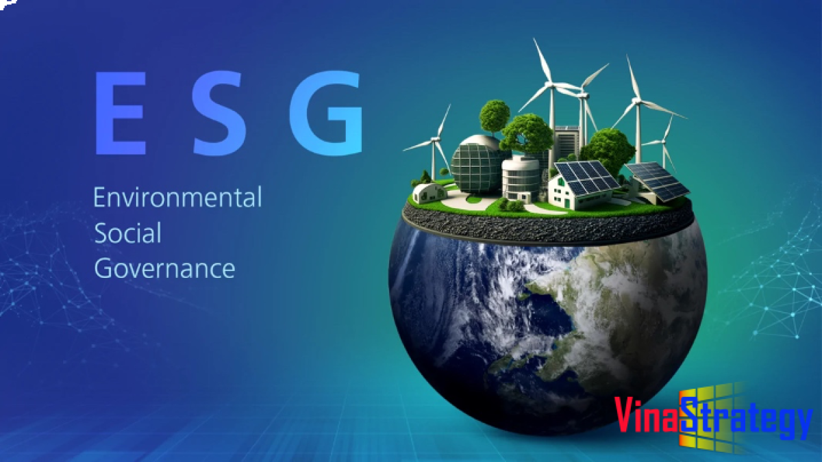 Chứng chỉ EGS gồm những loại nào