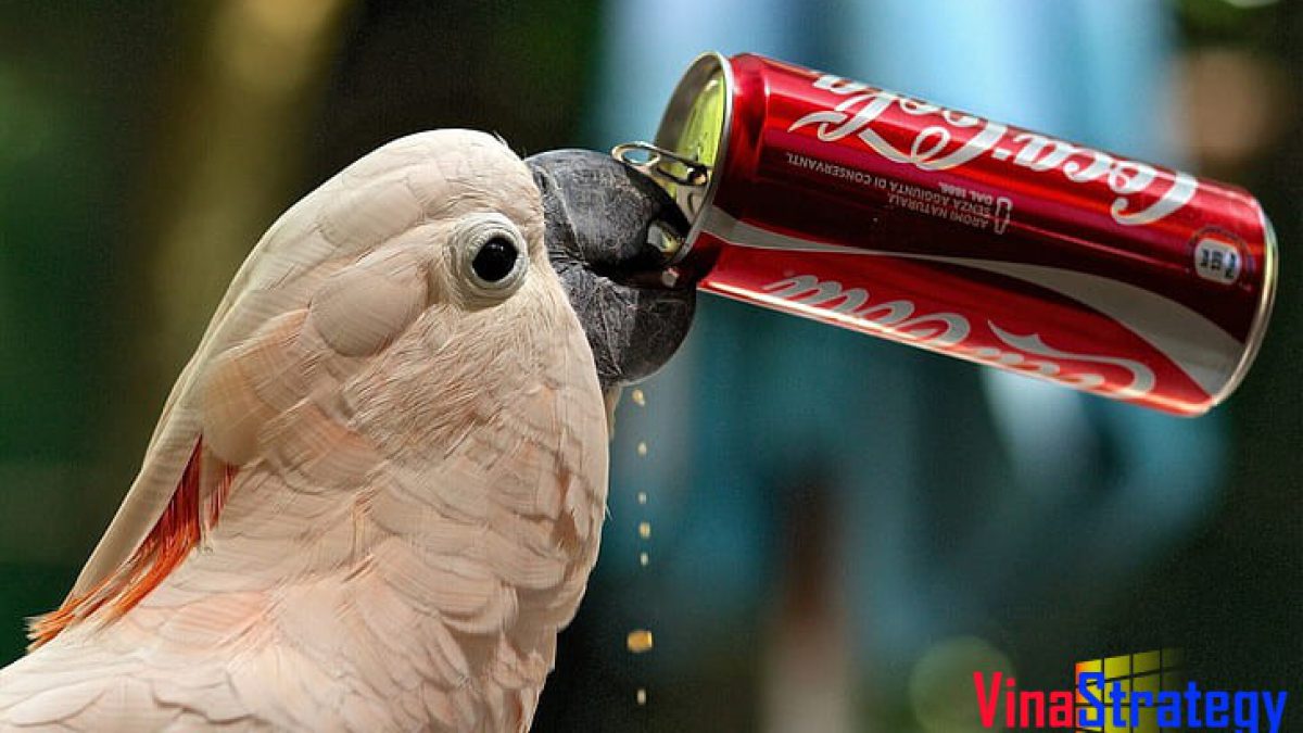 Coca Cola từ khởi điểm bán 9 ly một ngày đến trở thành ông trùm ngành giải khát