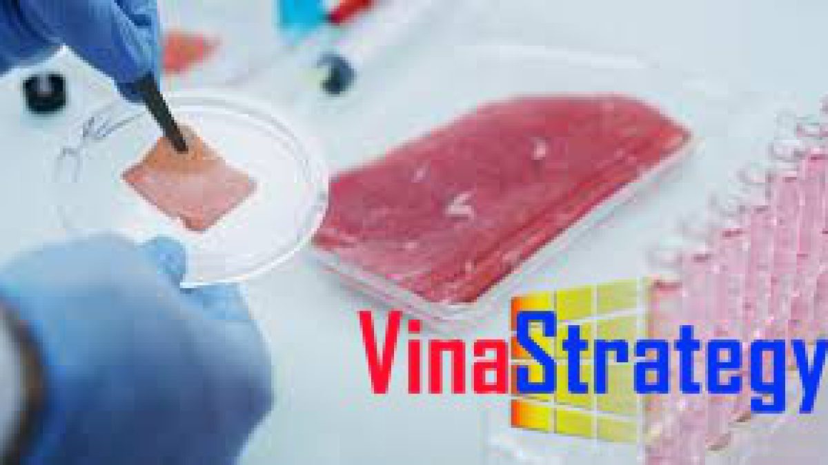 Thực đơn thịt nhân tạo và xu thế kinh doanh tương lai
