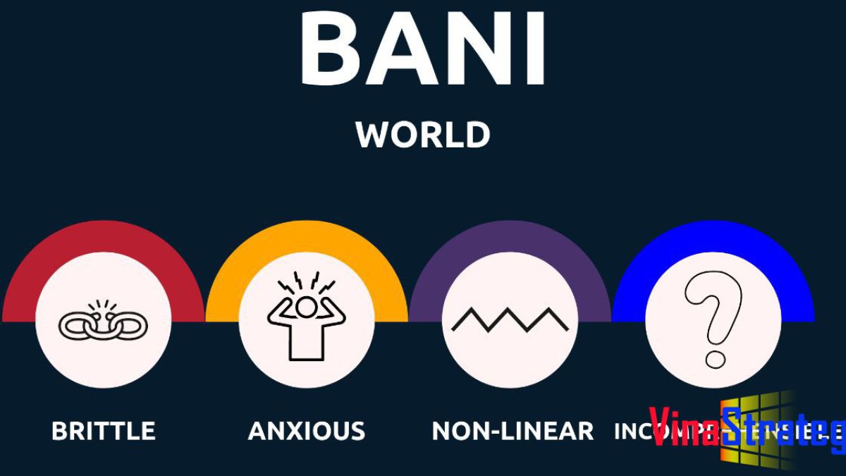 Ý nghia của BANI trong thế giới đầy biến động